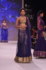 Model walk the ramp for Kay Jewels on Day 4 of IIJW 2013 on 7th Aug 2013 (23).JPG